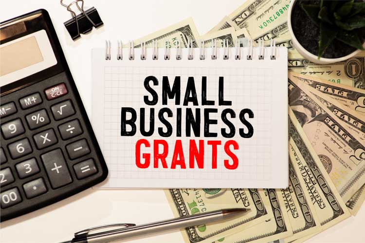 Best Small Business Grants You Could Benefit From In 2022 FactAvenue   Shutterstock 1931936252 1 